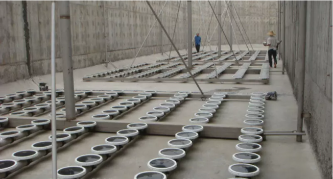 Bộ khuếch tán đĩa bong bóng màng EPDM / Silicone để nuôi cá nuôi trồng thủy sản 1